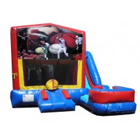 Sports Balls 7 in 1 Combo Wet/Dry