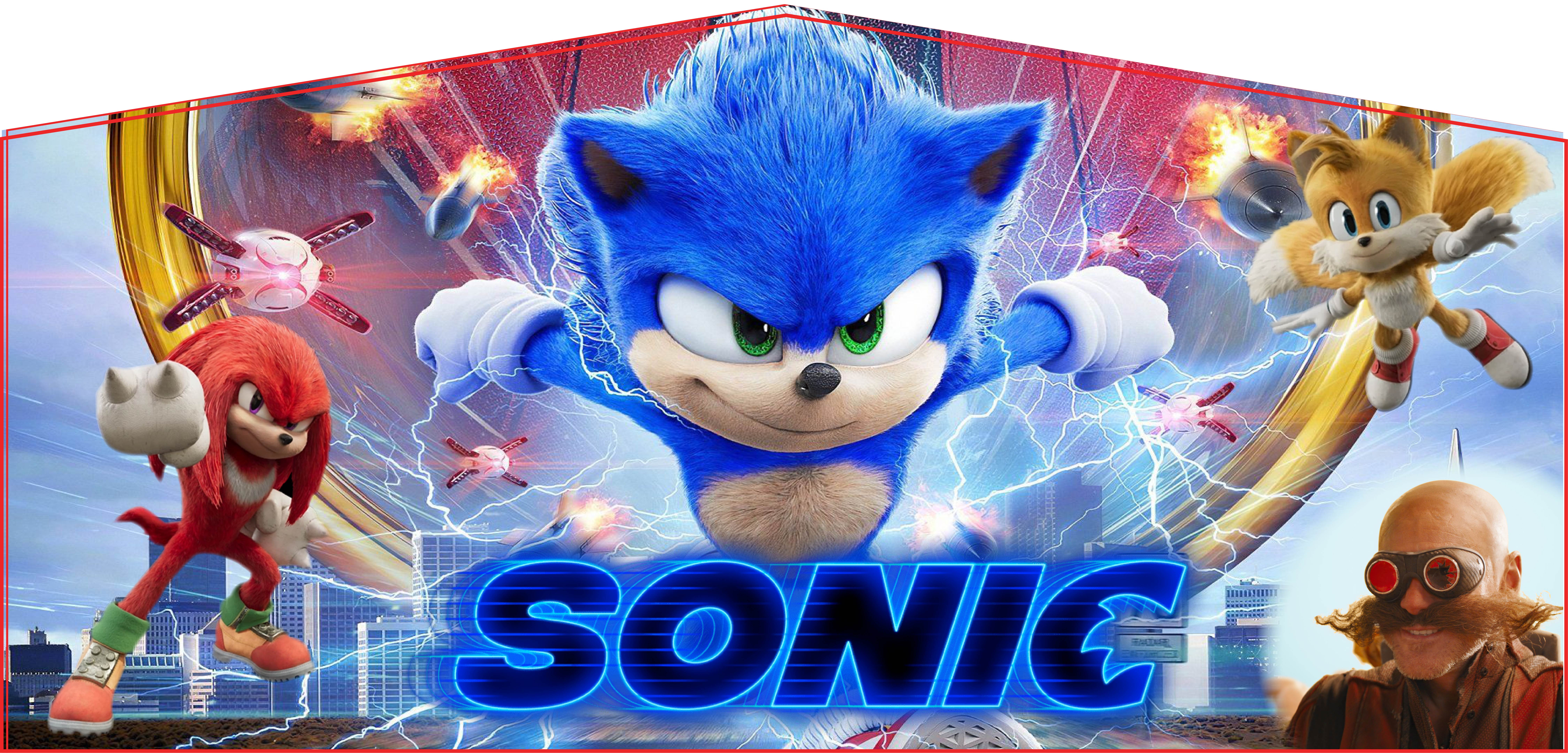 Sonic the Hedgehog Panel
