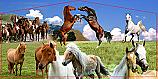 Horses Panel